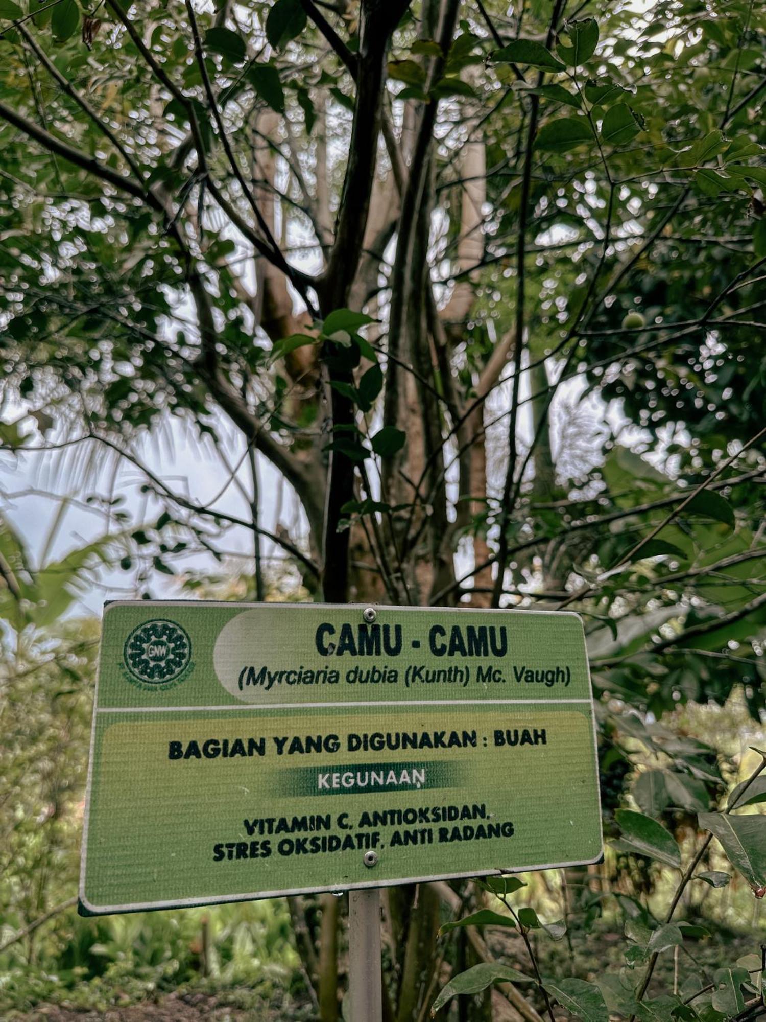 Villa Ipsa Munduk  Ngoại thất bức ảnh